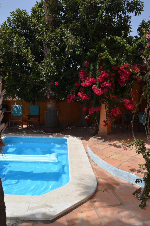 Apartamento Con Jacuzzi Y Terraza Con Opcion A Piscina Privada Almuñécar Exterior foto